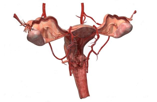 mažojo dubens venų varikozės išsivystymo priežastys